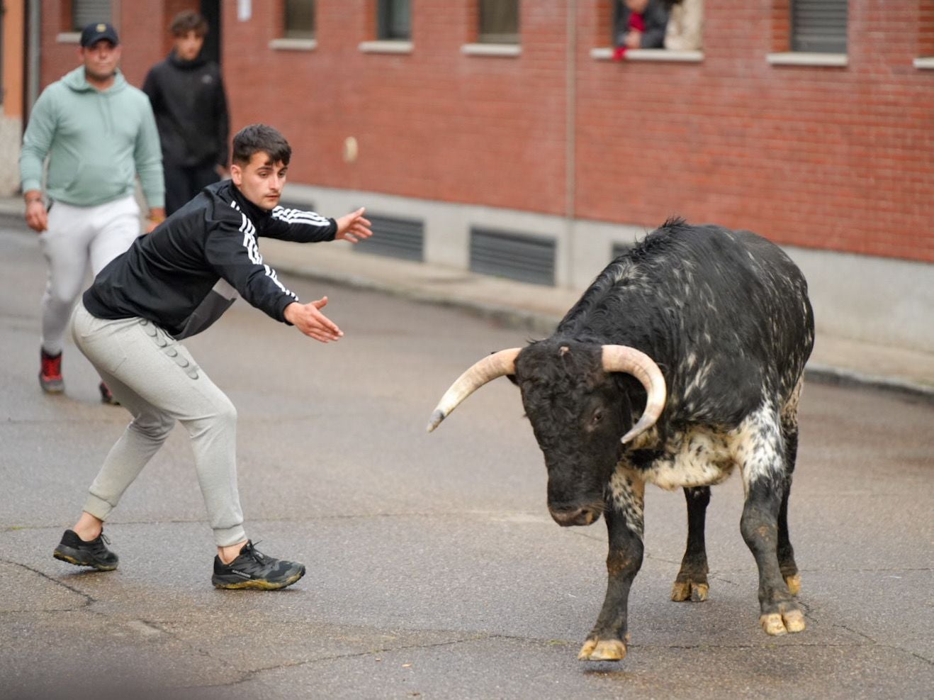 Las imágenes del encierro en Laguna de Duero por San Pedro Regalado