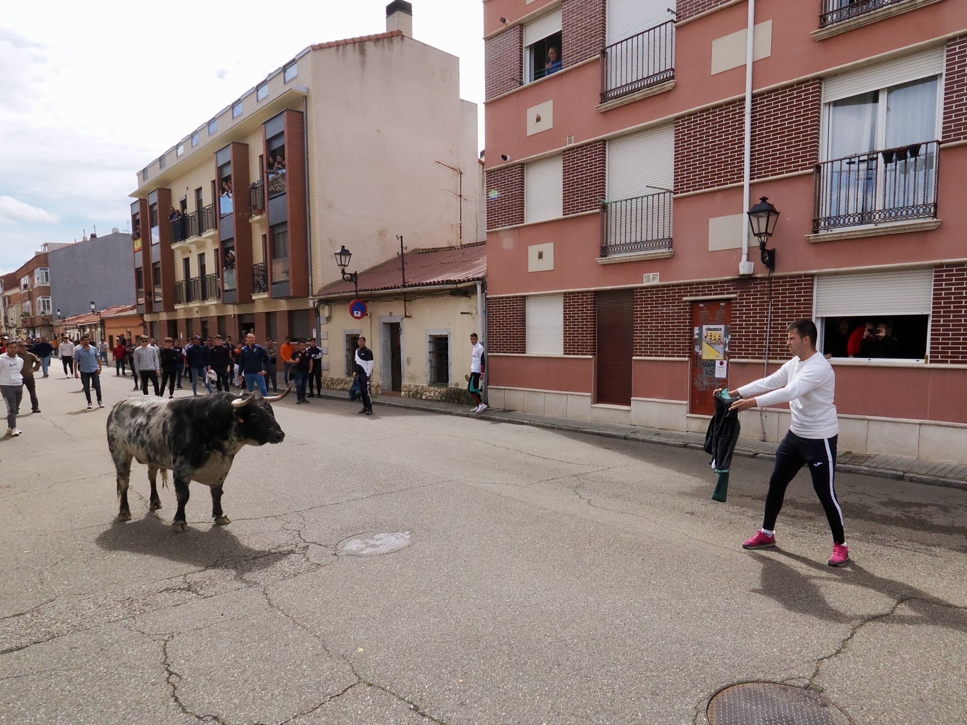 Laguna se despide de los toros de San Pedro Regalado