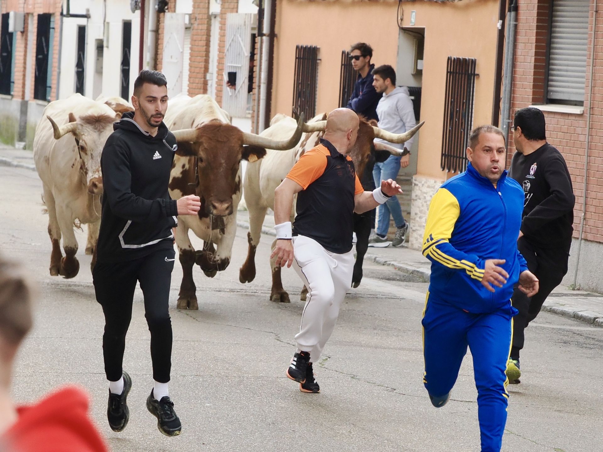 Laguna se despide de los toros de San Pedro Regalado