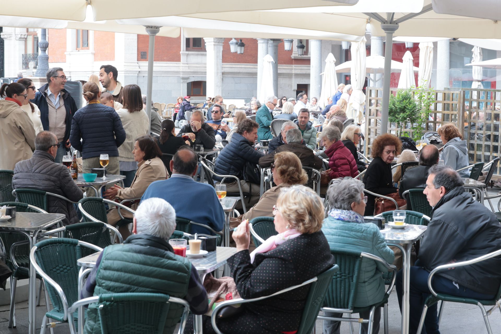 El ambiente de San Pedro Regalado, en imágenes