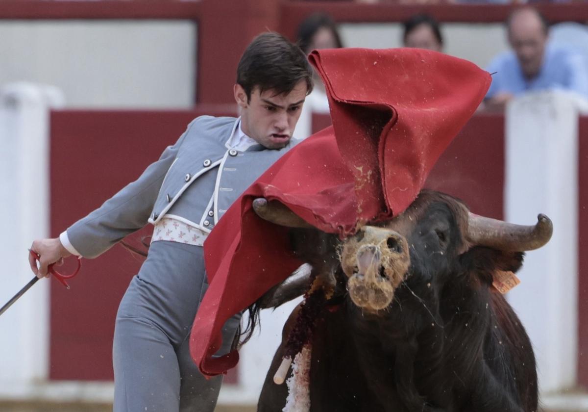 La novillada de San Pedro Regalado, en imágenes