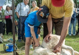 Trescasas rememora su pasado con la Feria del Esquileo