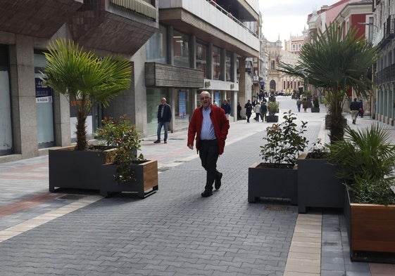 Jardineras en la calle La Cestilla.