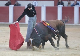 Diego Ortega ejecuta uno de los derechazos que animaron la tarde en la plaza de toros del Paseo de Zorrilla.