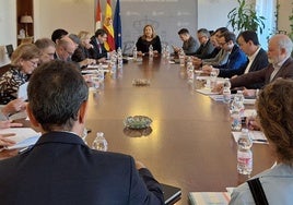 Un momento de la comisión de asistencia, presidida por Marian Rueda.