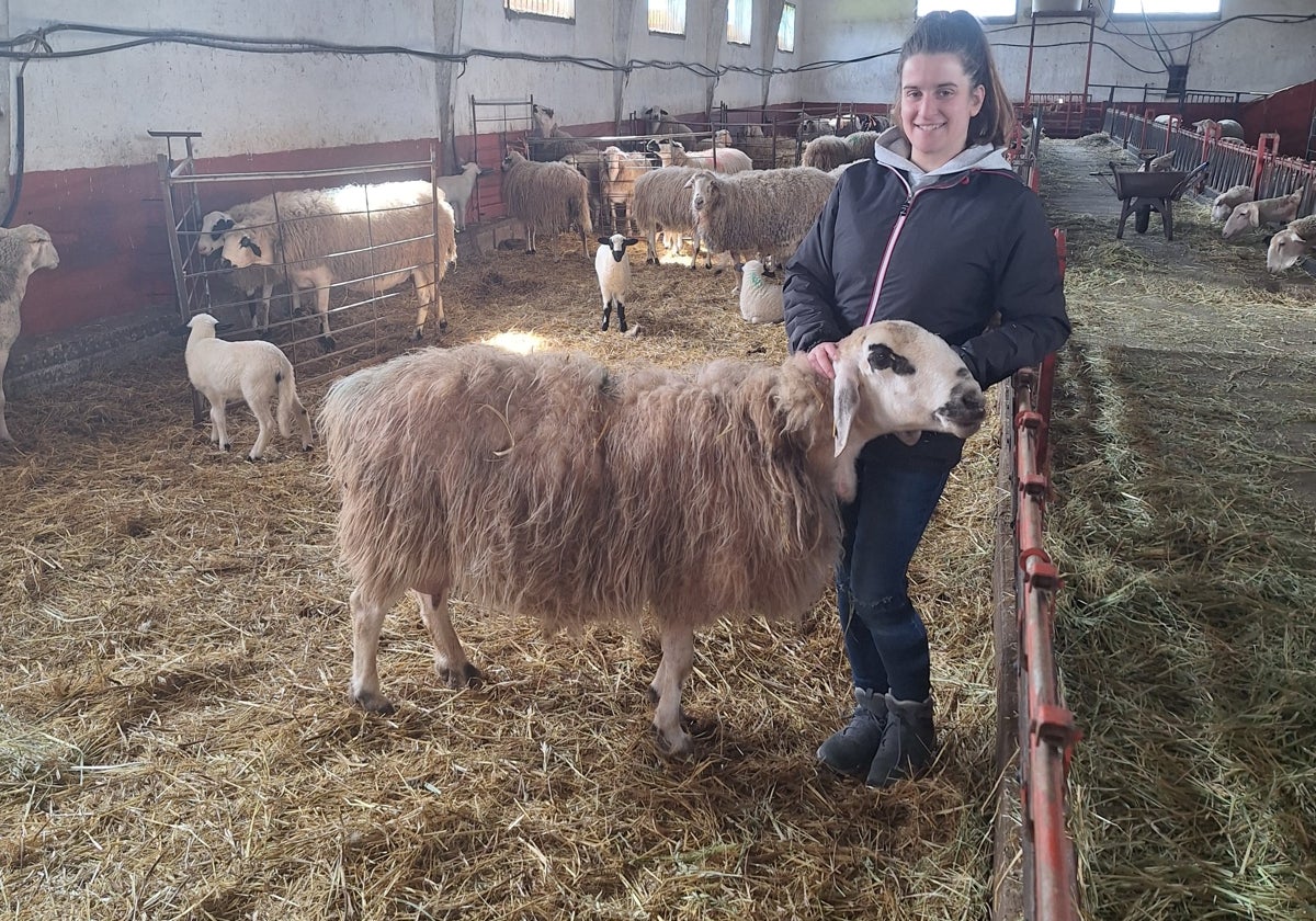 Marina Lázaro en su trabajo diario con las ovejas en Oquillas (Burgos).