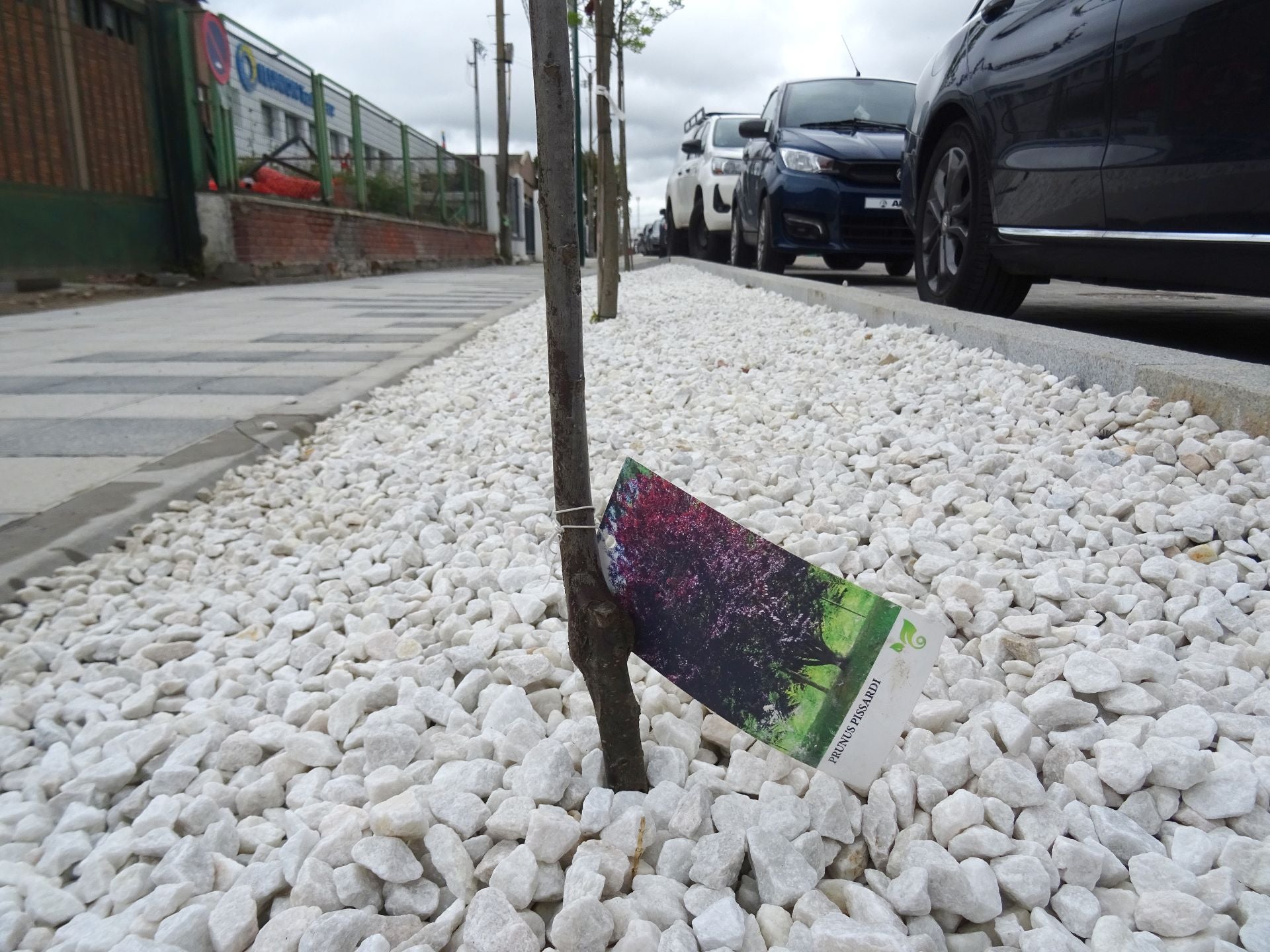 Fin de las obras en la Avenida El Norte de Castilla en el Polígono de Argales