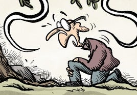 La viñeta de Sansón: 'Ley natural'