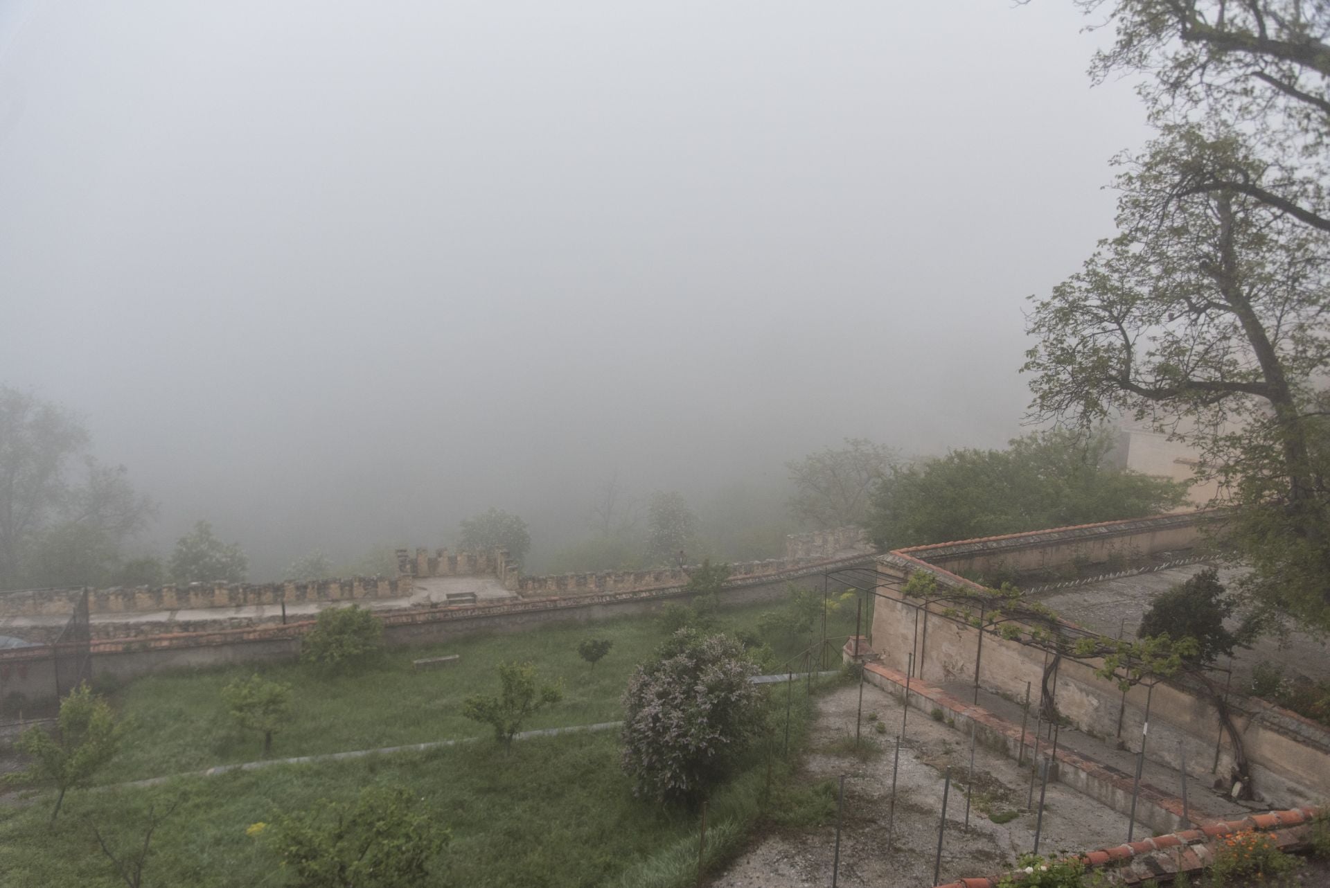 Fotos: Segovia amanece envuelta en niebla