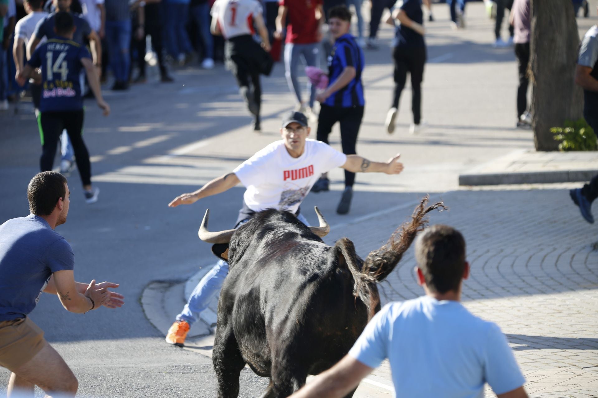 Las imágenes del toro de Villazgo en Aldeamayor