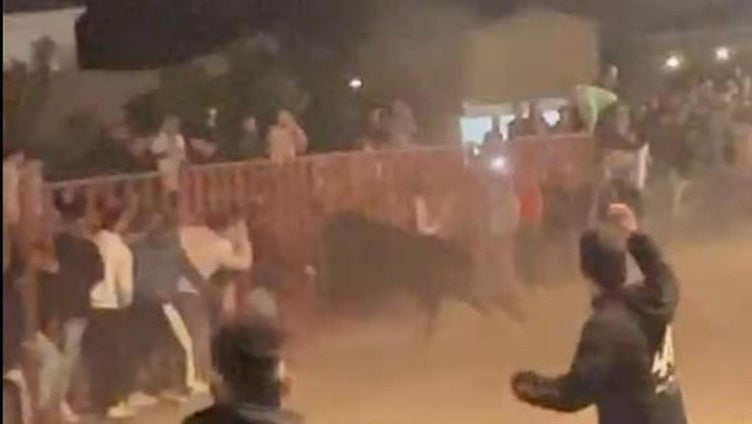 El toro mete la cabeza entre los barrotes y alcanza al joven.