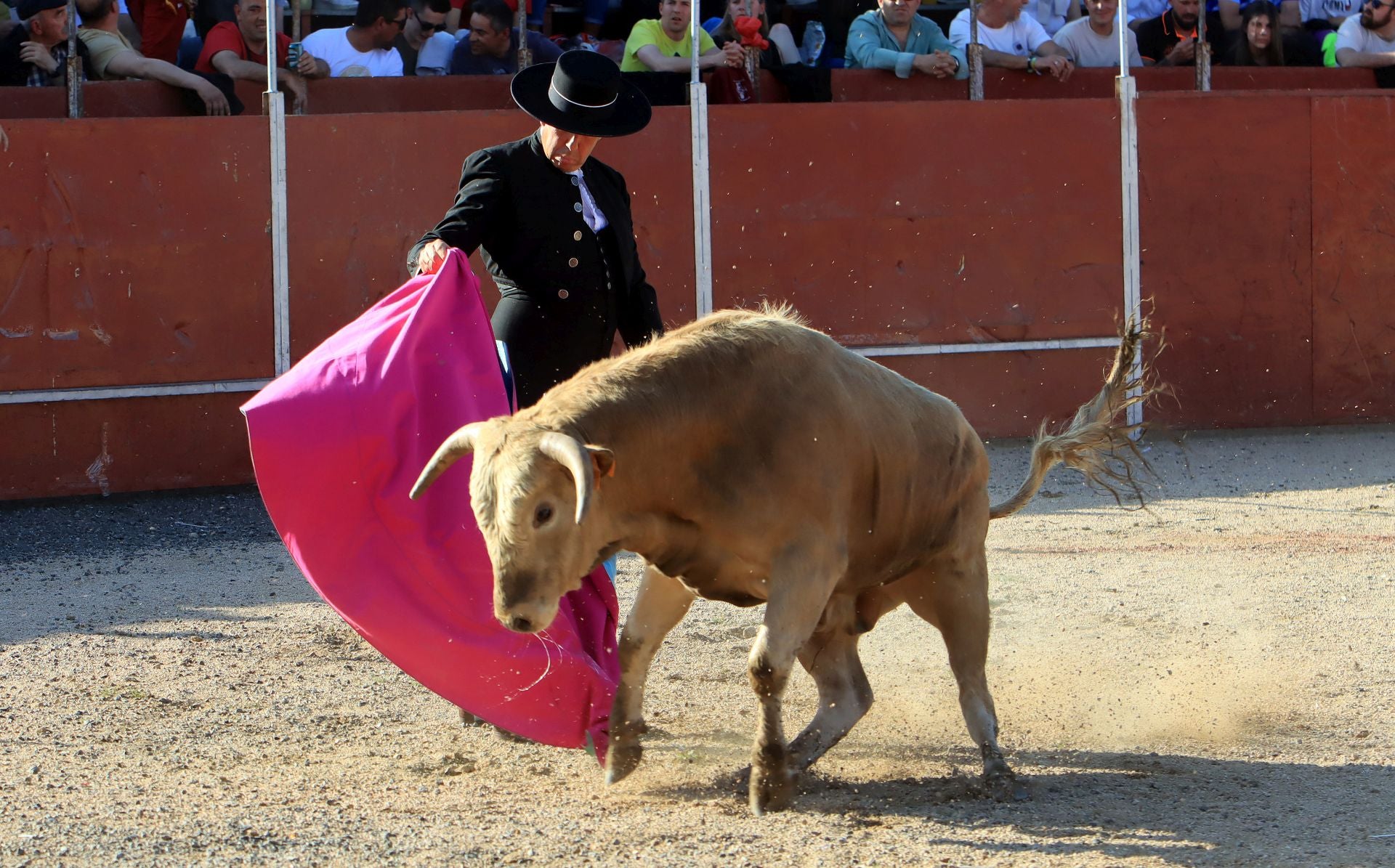 El festival taurino en La Lastrilla, en imágenes