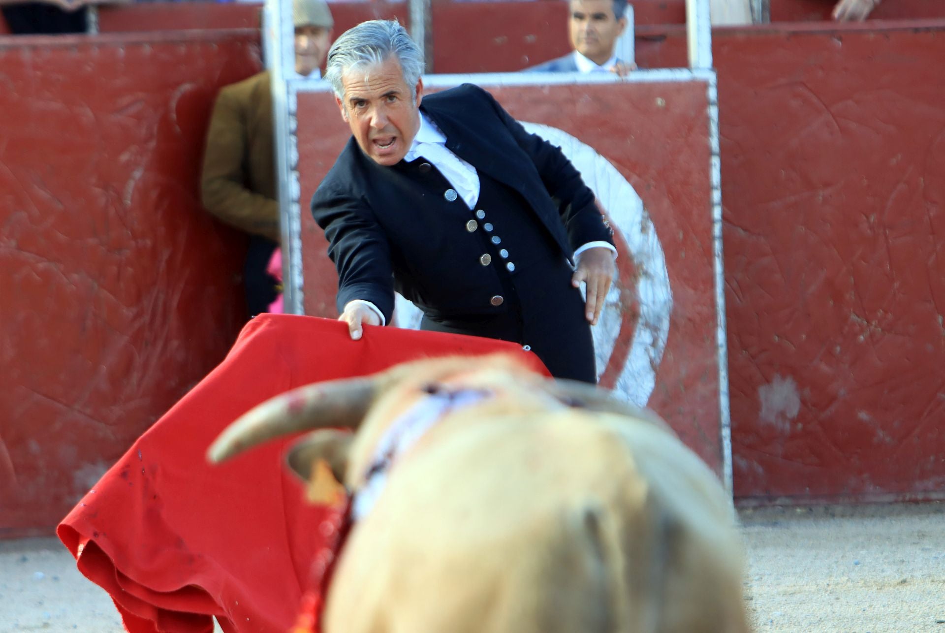 El festival taurino en La Lastrilla, en imágenes