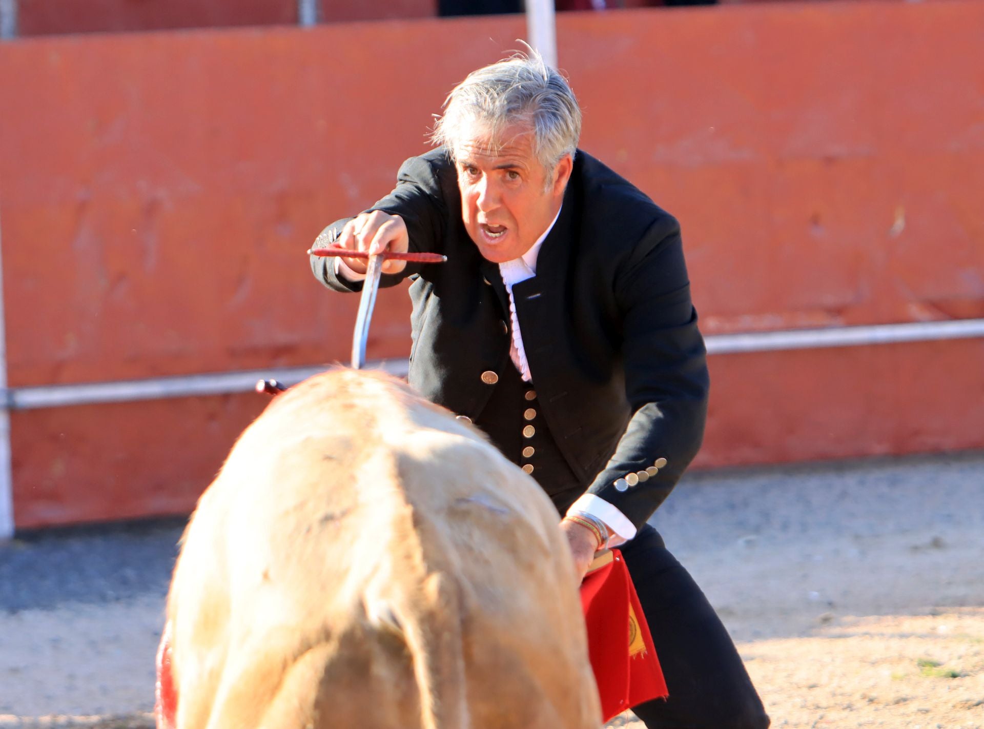 El festival taurino en La Lastrilla, en imágenes