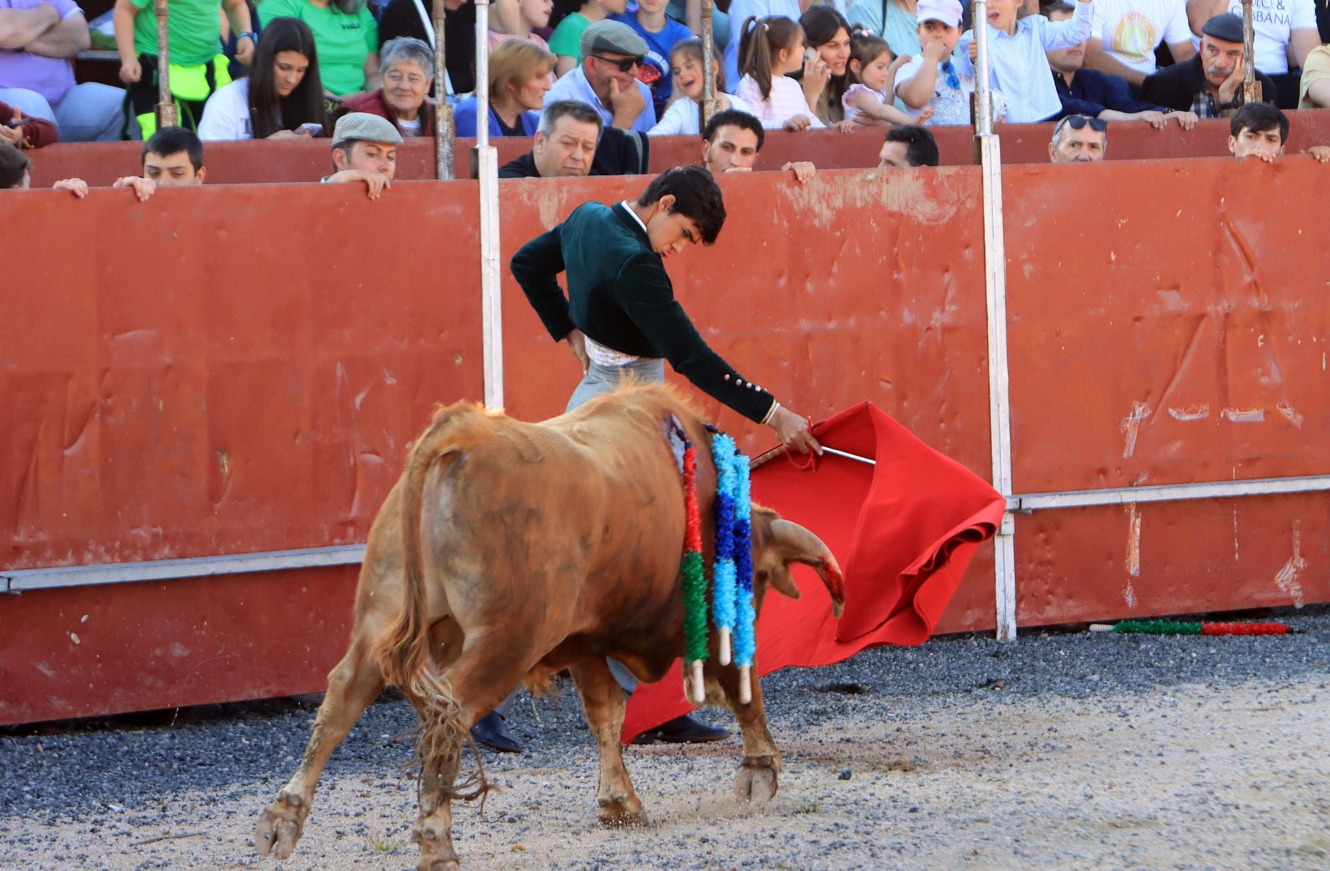 El festival taurino en La Lastrilla, en imágenes