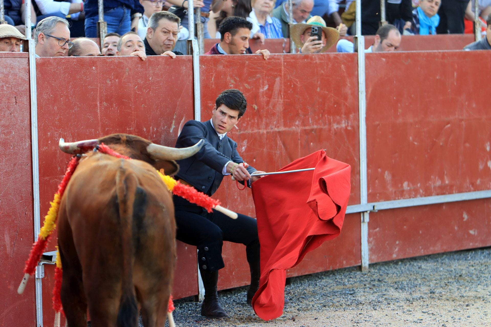 El festival taurino en La Lastrilla, en imágenes