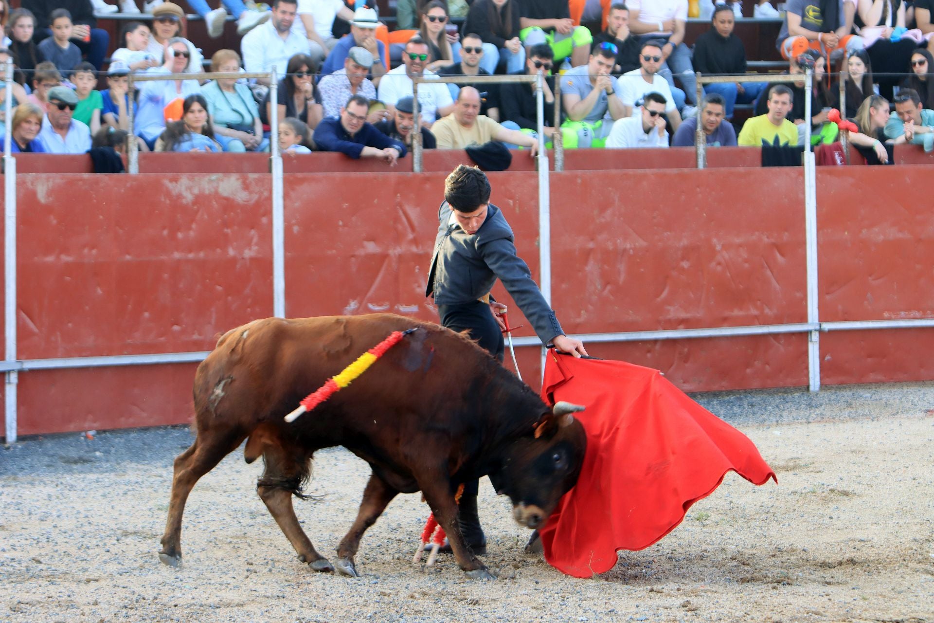 El festival taurino en La Lastrilla, en imágenes