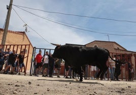 Encierro del domingo por la mañana en Valdestillas