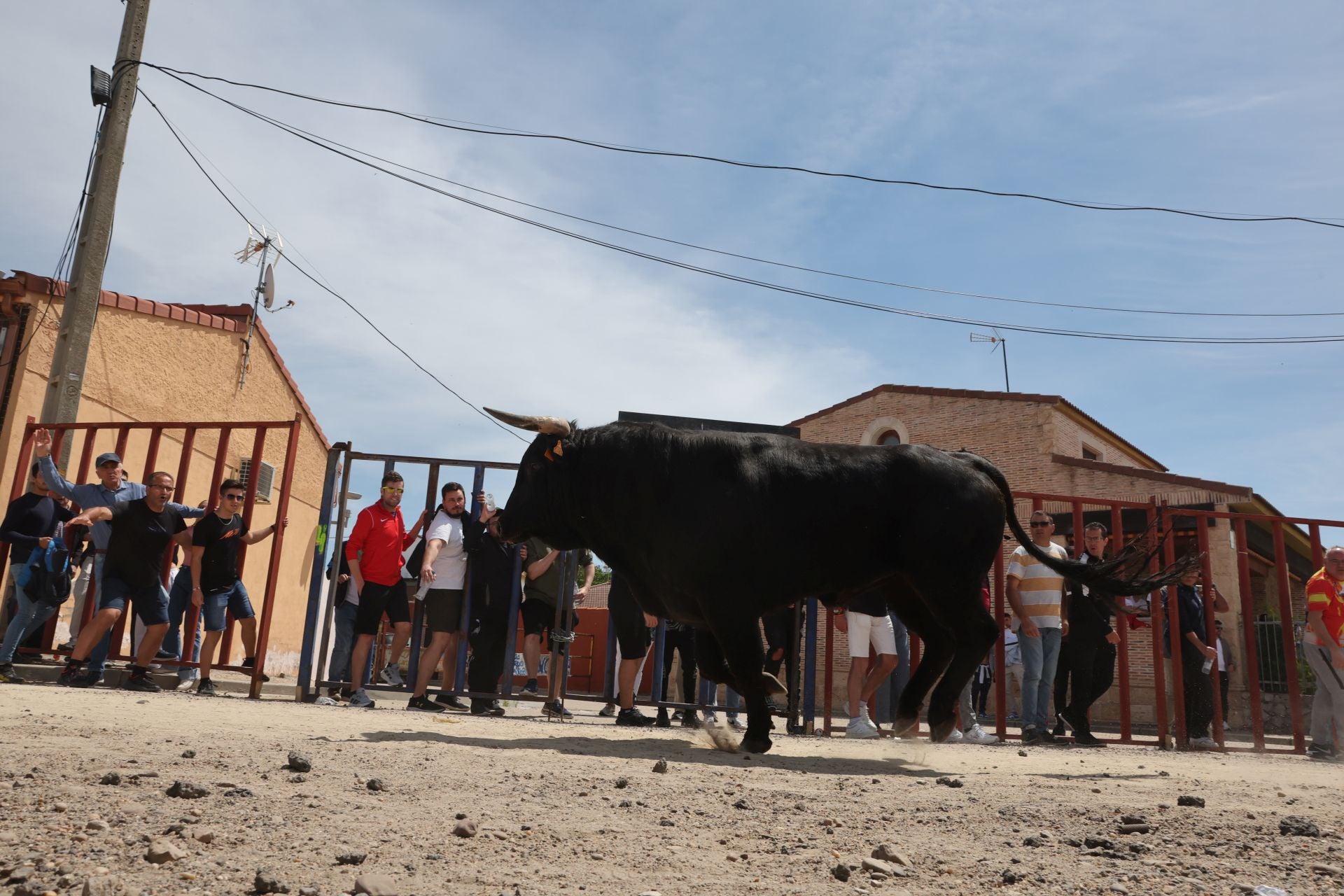Encierro del domingo por la mañana en Valdestillas