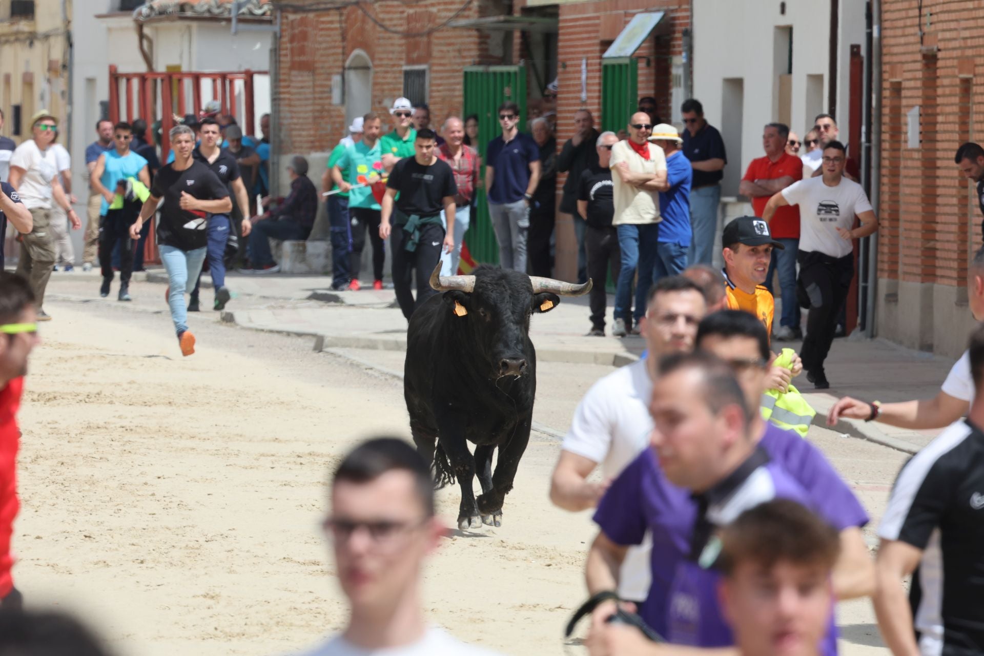 Encierro del domingo por la mañana en Valdestillas