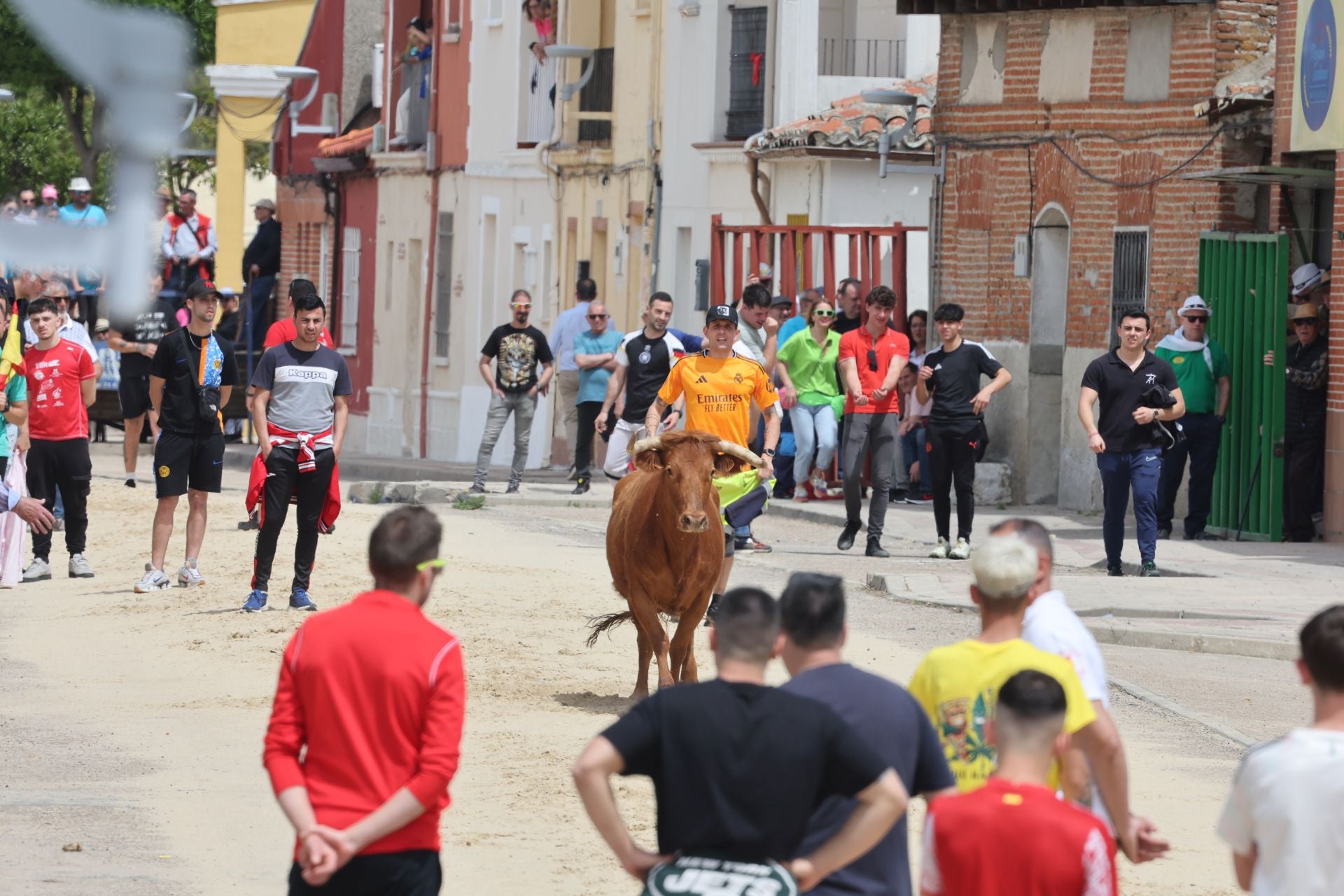 Encierro del domingo por la mañana en Valdestillas