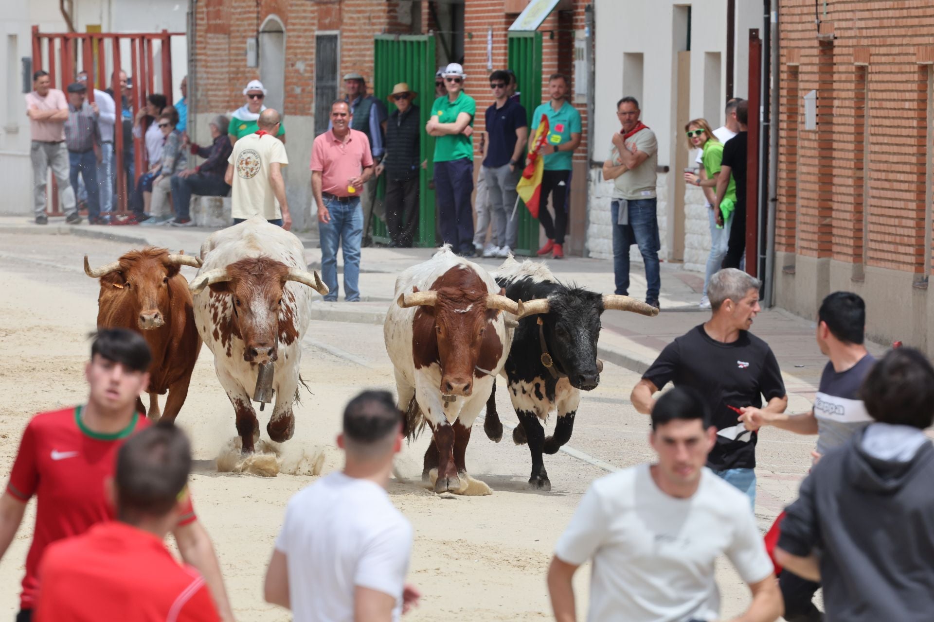 Encierro del domingo por la mañana en Valdestillas