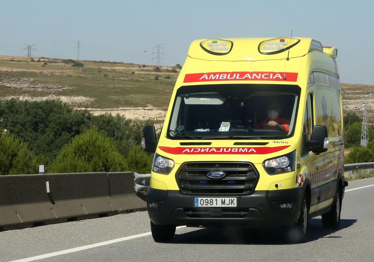 Muere una mujer tras ser embestida por dos reses en un pueblo de Segovia