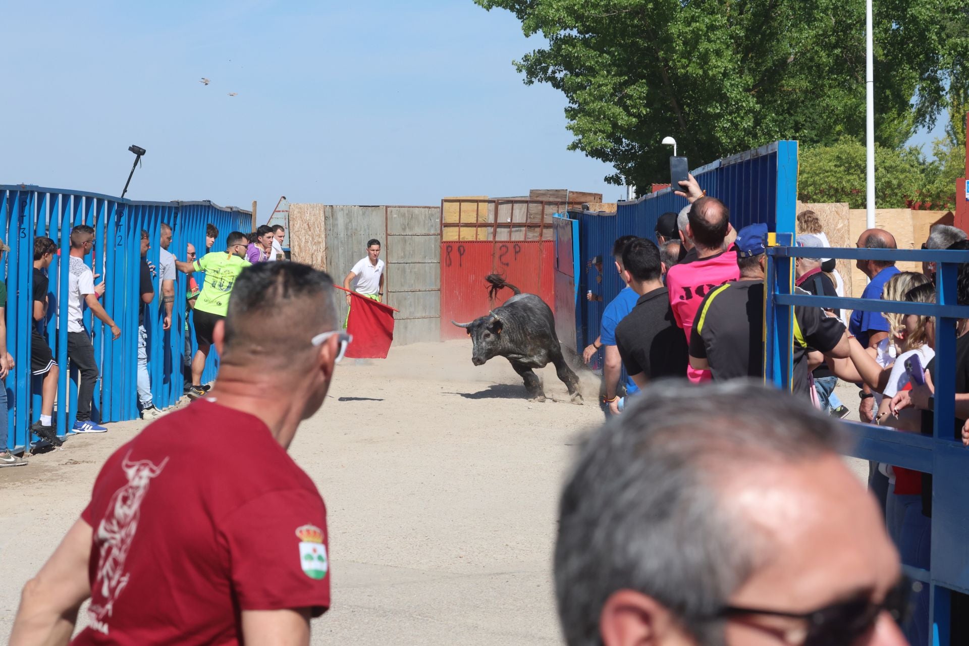 Encierro matutino del domingo en Aldeamayor de San Martín