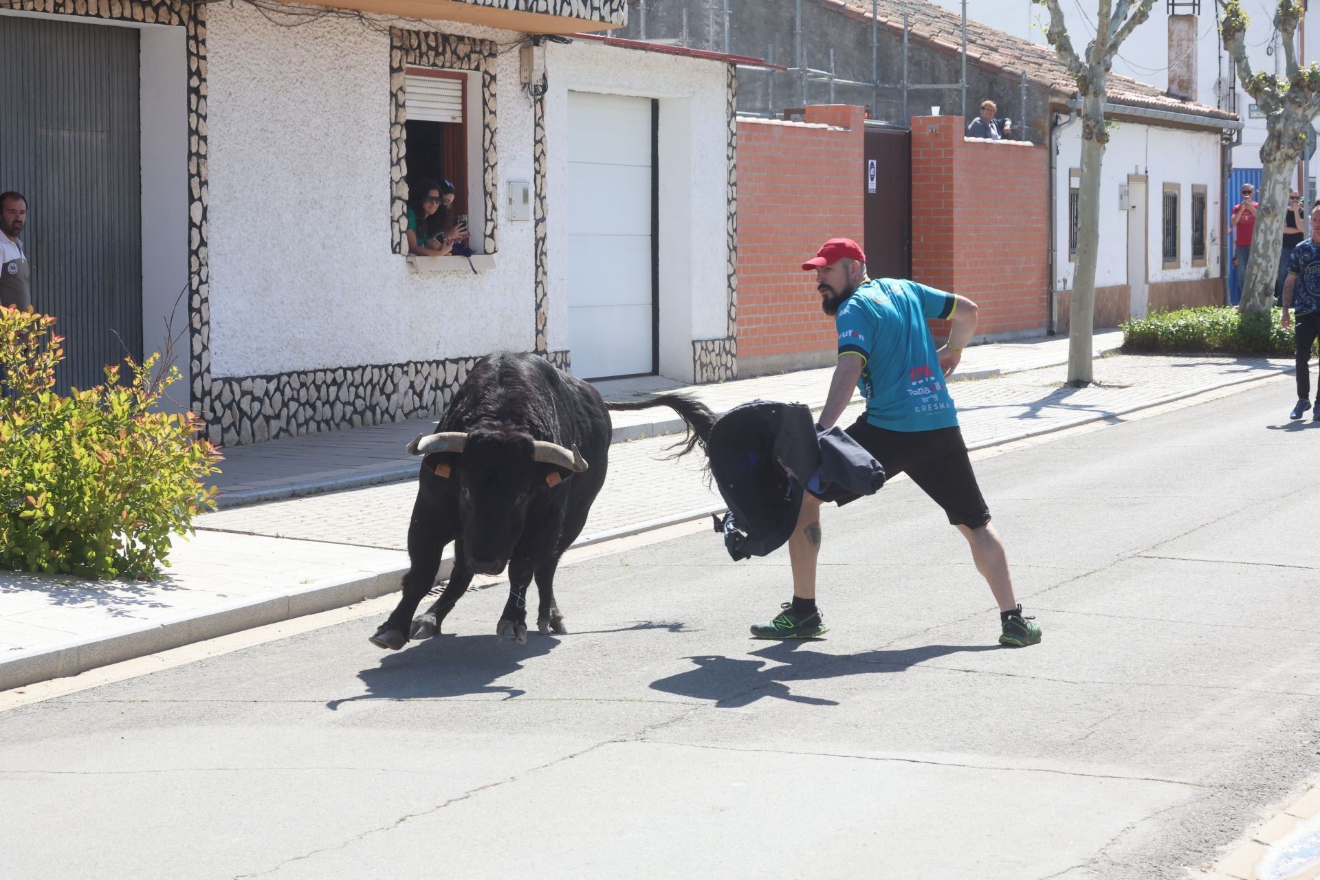 Encierro matutino del domingo en Aldeamayor de San Martín