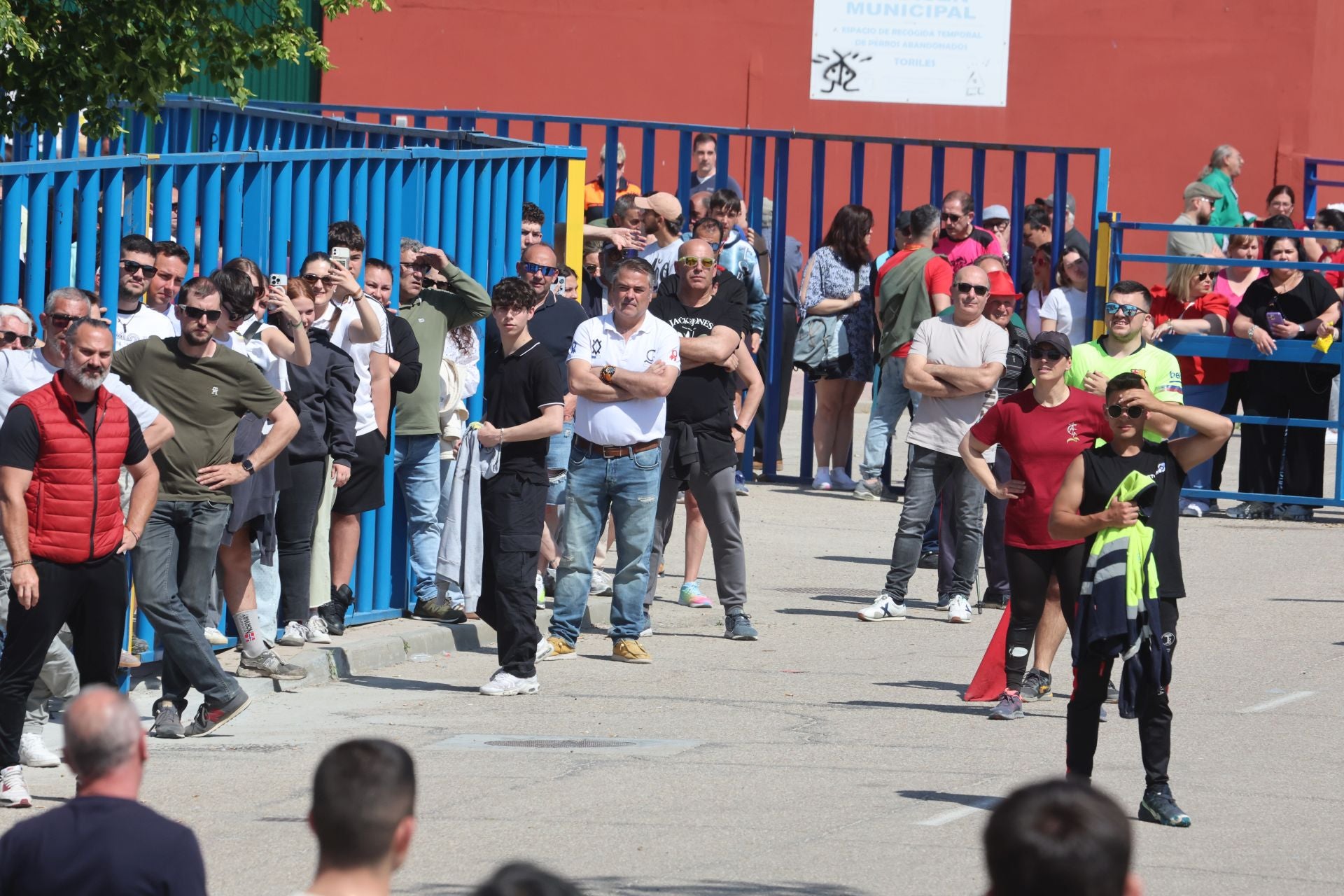 Encierro matutino del domingo en Aldeamayor de San Martín