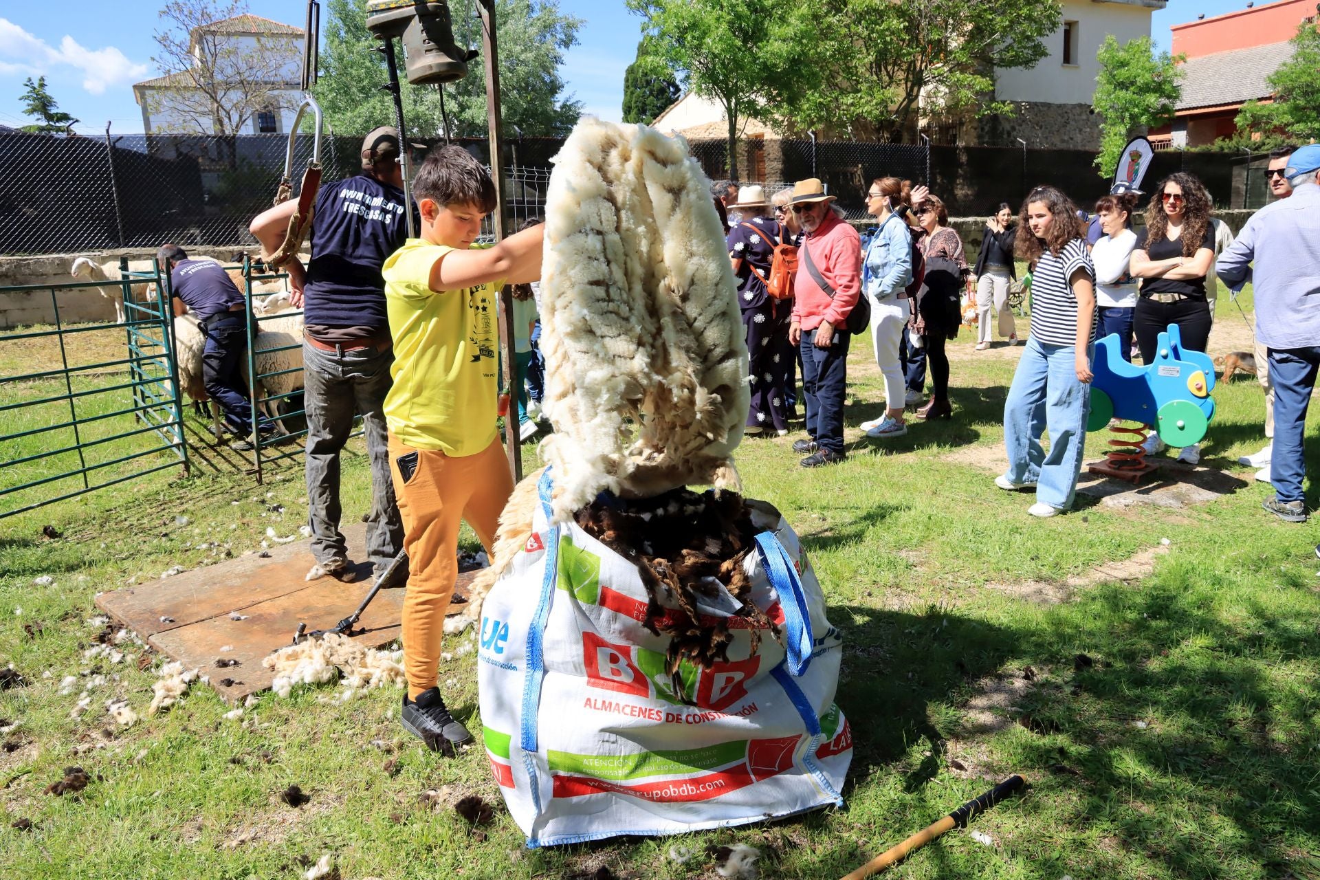 Fotografías de la feria del esquileo en Trescasas