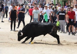 Encierro del domingo por la mañana en Valdestillas