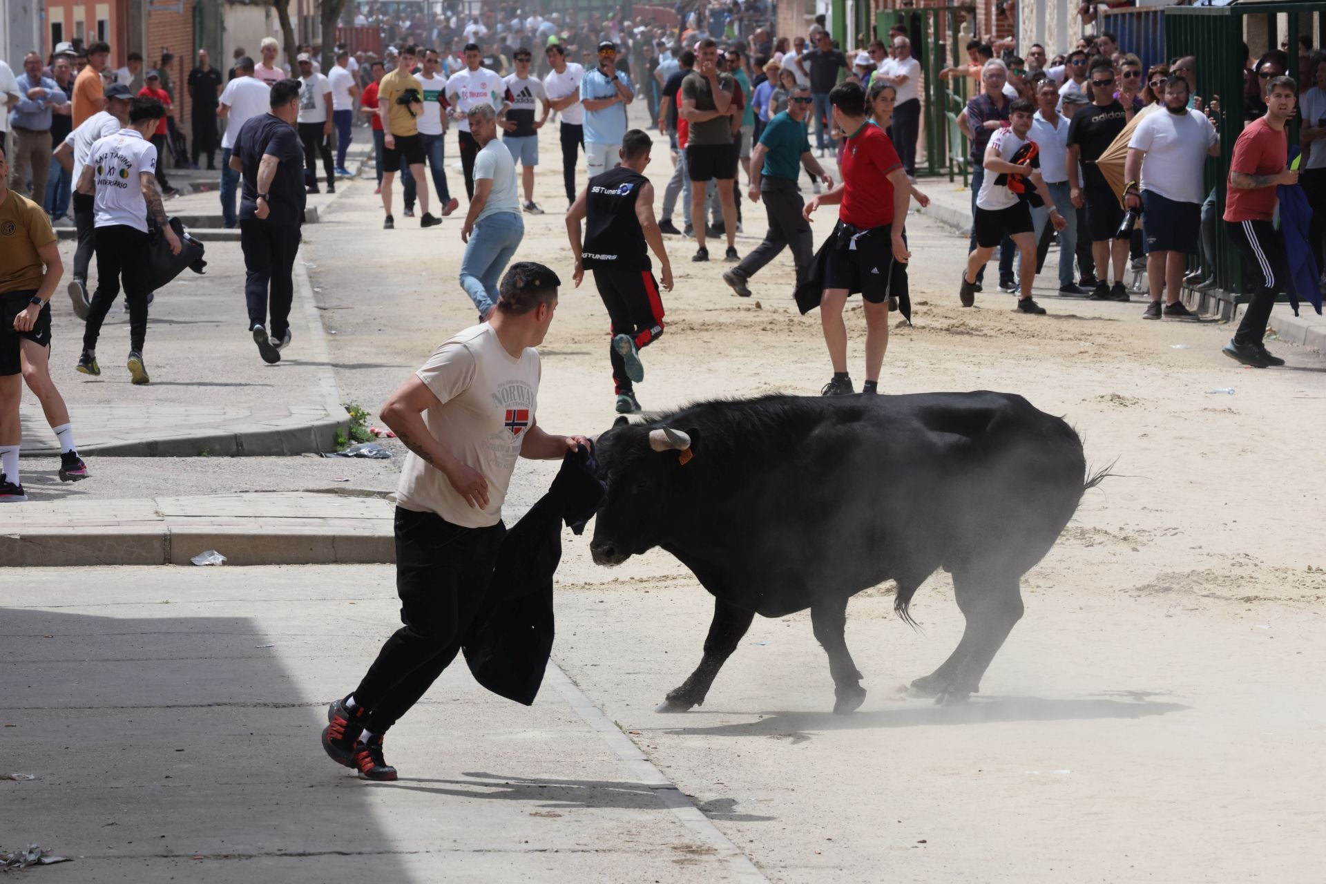 Encierro del domingo por la mañana en Valdestillas