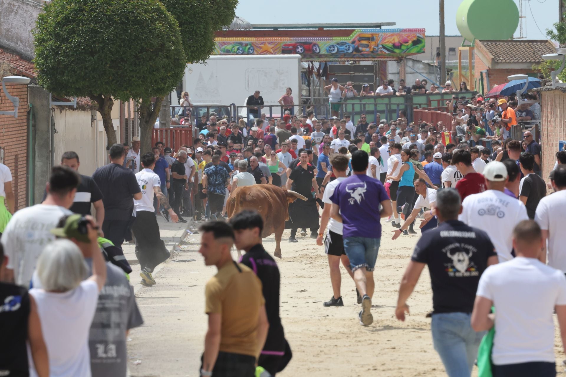 Encierro del domingo por la mañana en Valdestillas