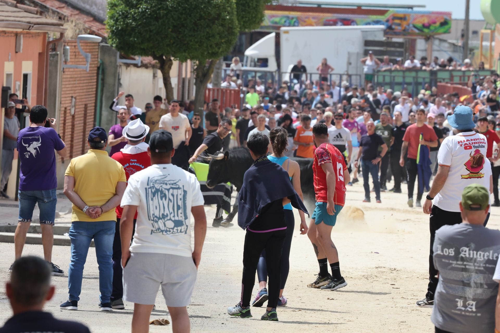 Encierro del domingo por la mañana en Valdestillas