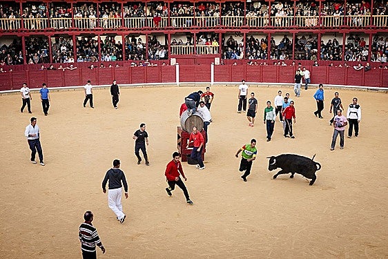 Festejo taurino celebrado en la población zamorana de Toro.
