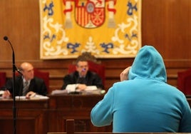 Vista oral en un juicio en la Audiencia de Segovia por delitos sexuales.