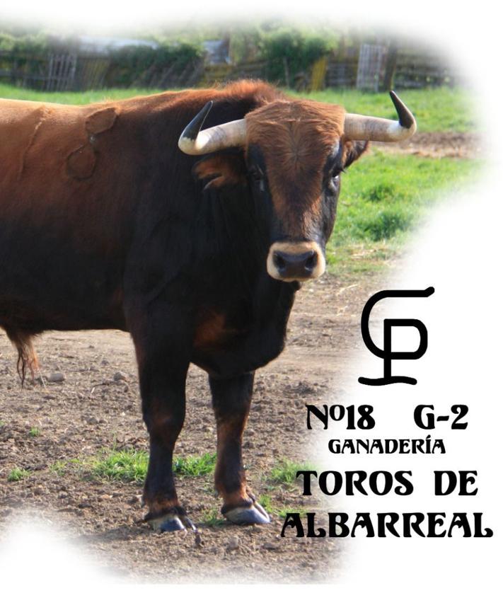 Imagen secundaria 2 - Tres de los seis novillos que participarán en los Toros de Mayo.