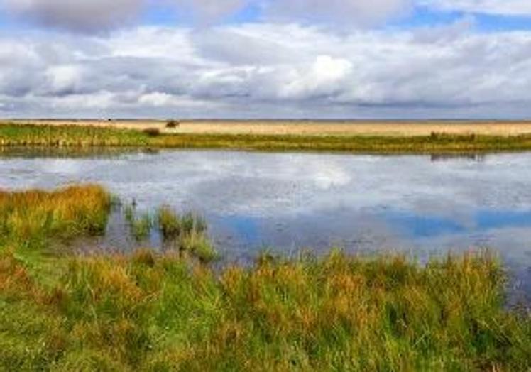 Laguna Sentiz.