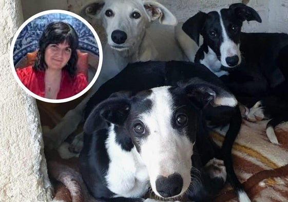 Las tres galgas robadas y la presidenta de la asociación en Defensa de los Animales.