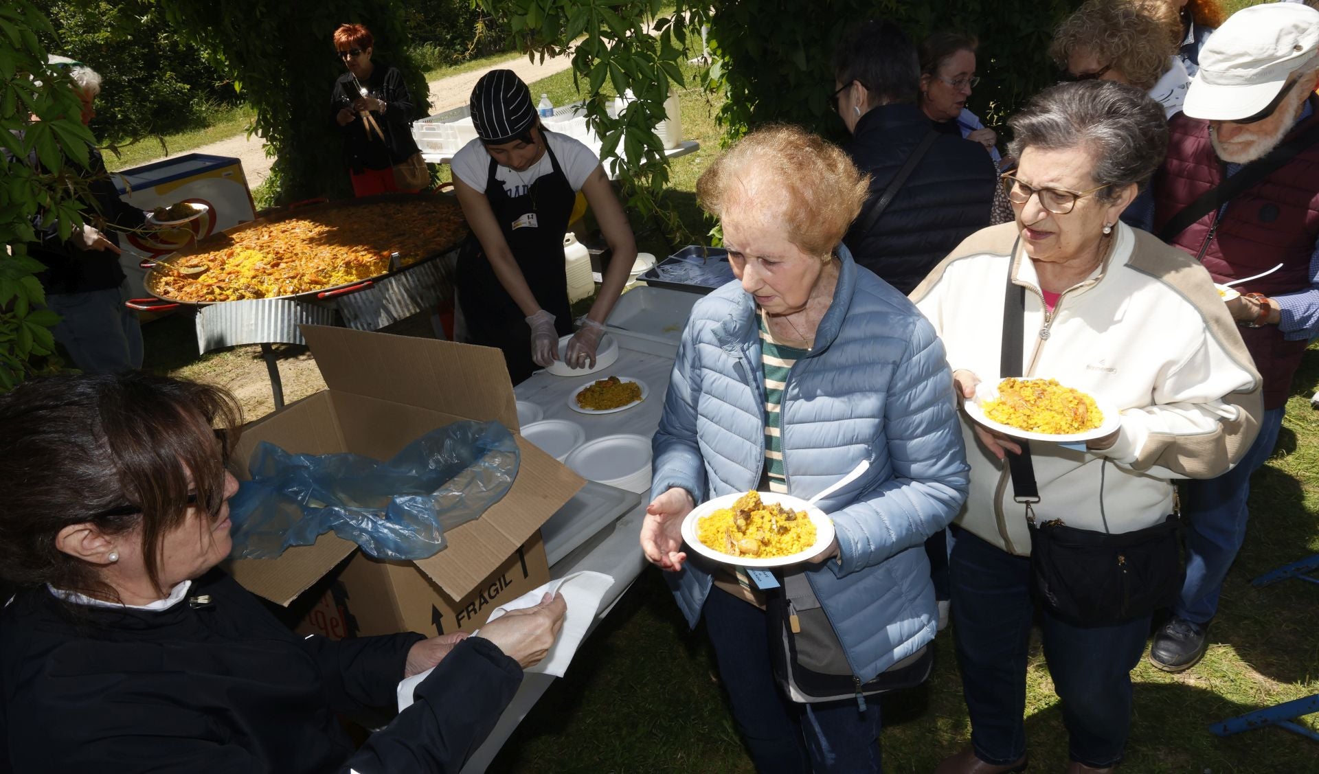Paella popular de fin de curso en Palencia