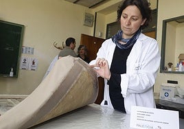 La restauradora Virginia Chacón muestra la trasera de la obra La ascensión de Cristo y la tela suplementada para ajustarla al marco.