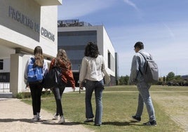 Alumnos de la Universidad de Valladolid caminan por el campus Miguel Delibe.