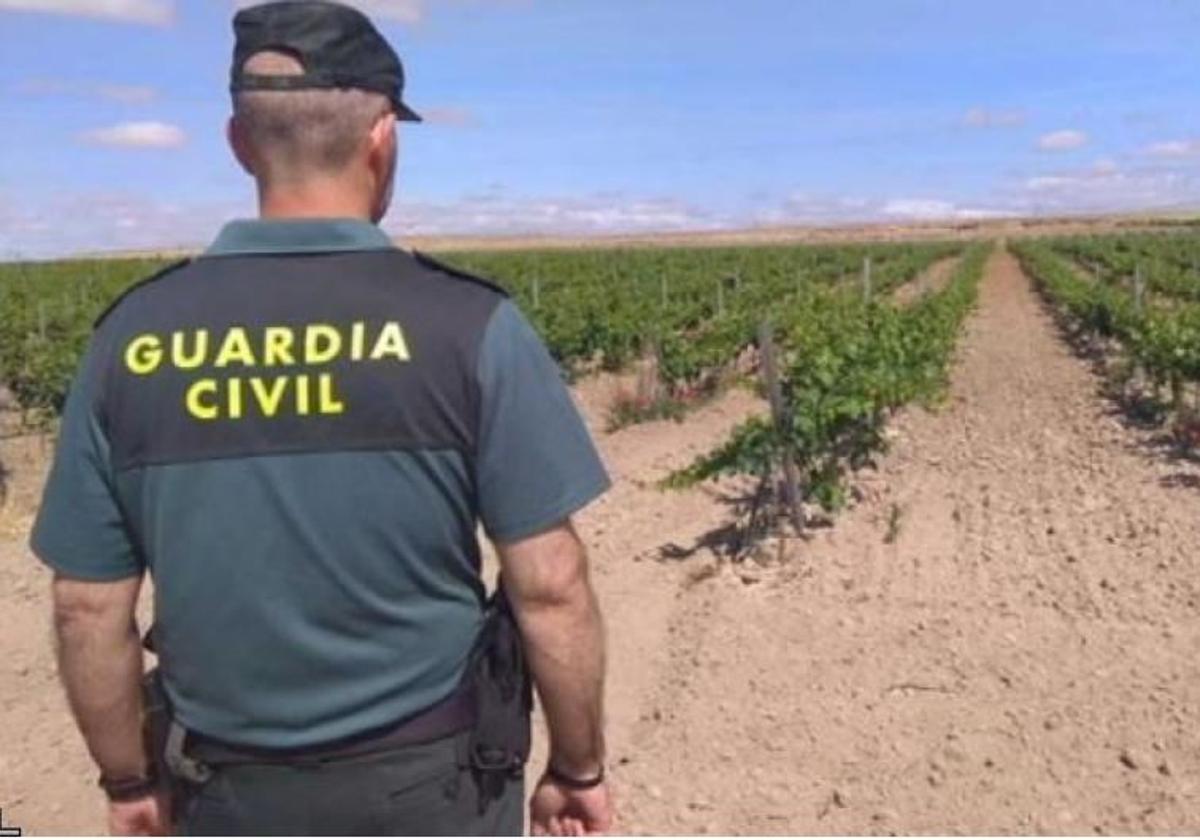Investigado un extrabajador por acceder sin permiso al sistema informático de una bodega