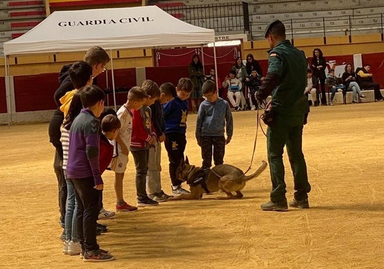 Exposición y exhibición de materiales y equipos de la Guardia Civil en Íscar, este viernes.