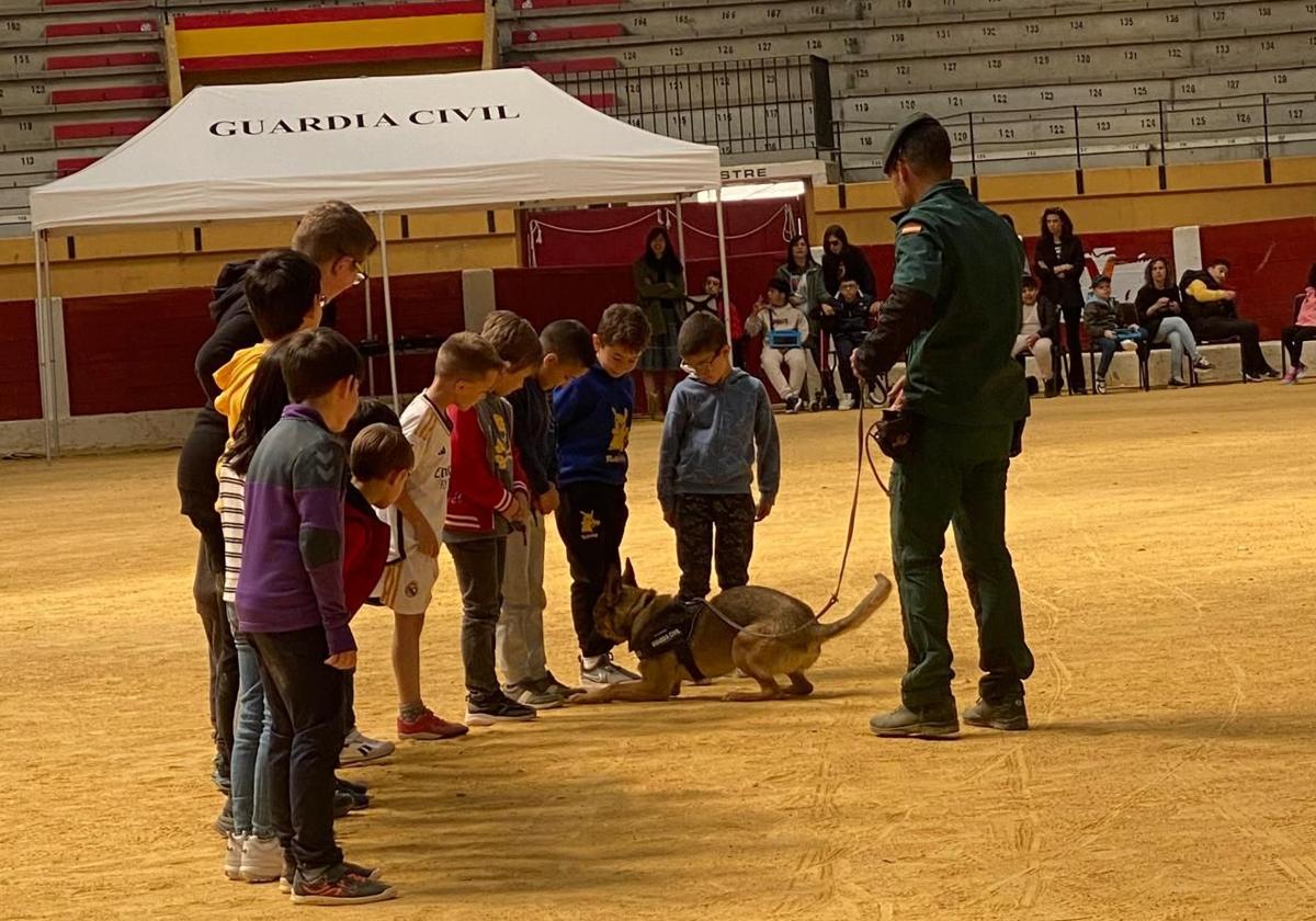 Exposición y exhibición de materiales y equipos de la Guardia Civil en Íscar, este viernes.