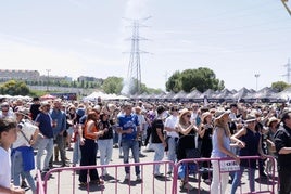 Las imágenes de la Fan Zone de la final de la Copa del Rey de rugby
