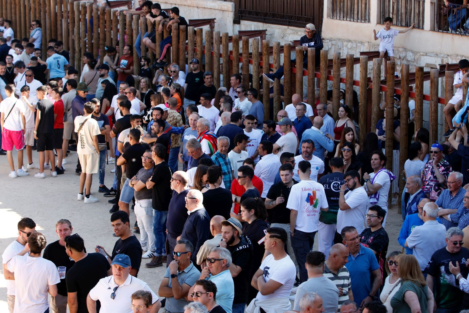 El encierro y la capea de Peñafiel, en imágenes