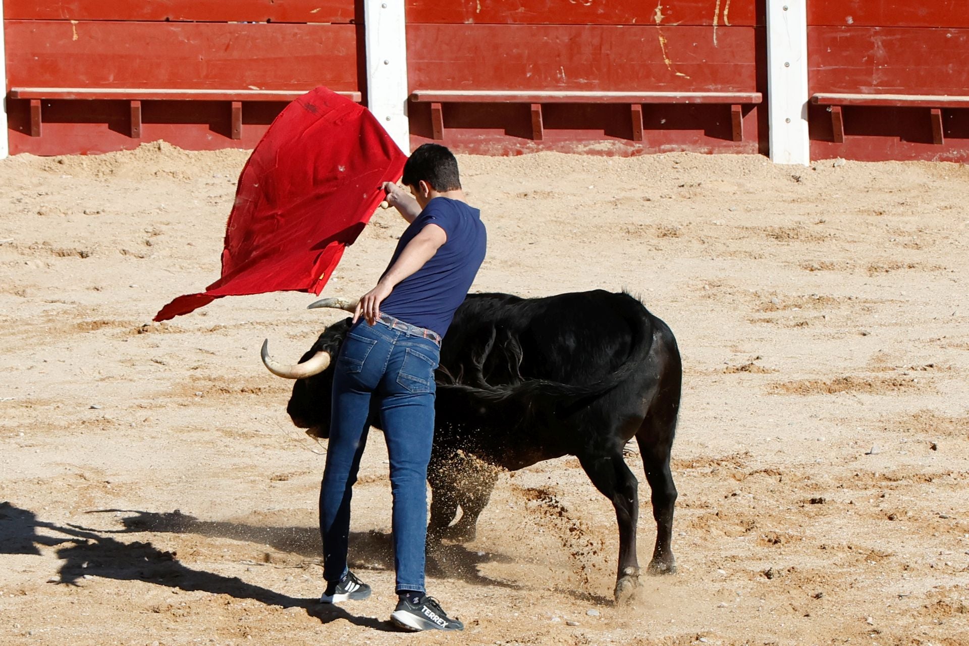 El encierro y la capea de Peñafiel, en imágenes