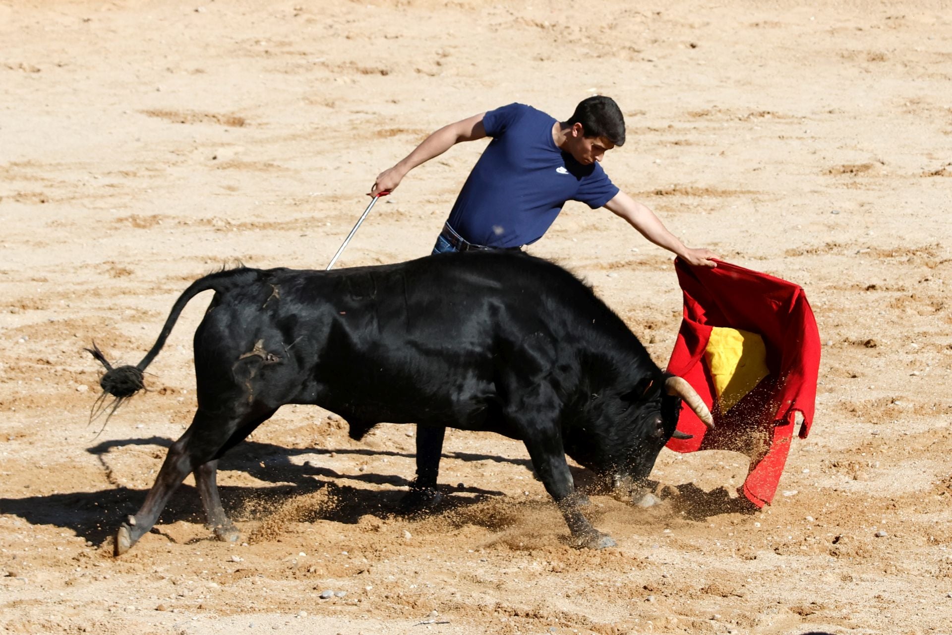 El encierro y la capea de Peñafiel, en imágenes